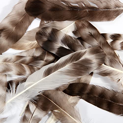 Tharaht 24Pcs Natural Grey-Chinchilla Feathers Bulk 6-8Inch 15-20Cm For Diy Crafts Project Collection Wedding Decoration Reeded Chicken Feathers #TOP4