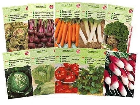 Lot 20 paquets graines légumes potager jardin ouvrier, salade, radis, tomate, carotte, poireau, pas cher, économique