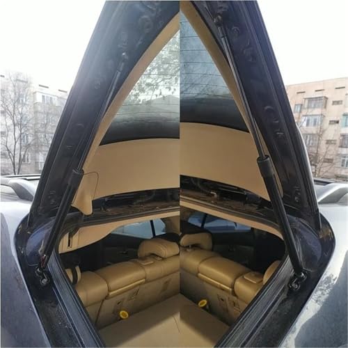 Vérins à gaz pour hayon Lexus RX300 RX350 en carbone bleu
