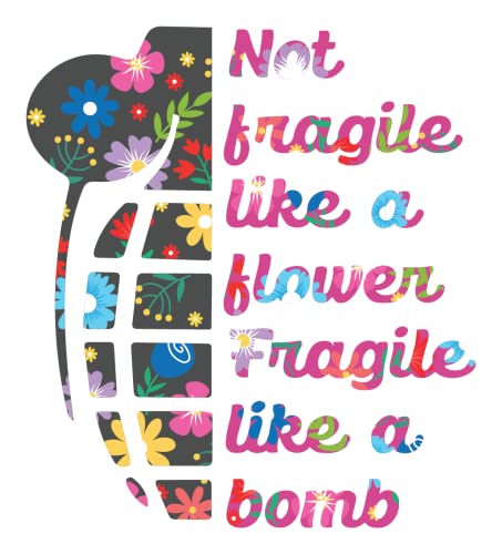 Fragile Like A Bomb Decal Sticker For Cars Laptop 4 Inch Tall #TOP1