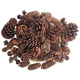 Senlwod 50 Stück Natürliche Tannenzapfen für Weihnachten, Mini-Herbstdekorationen, Ornamente, Großpackung, kleine Tannenzapfen für Heimwerker, Handwerk, Erntedankfest, Herbst, Winter