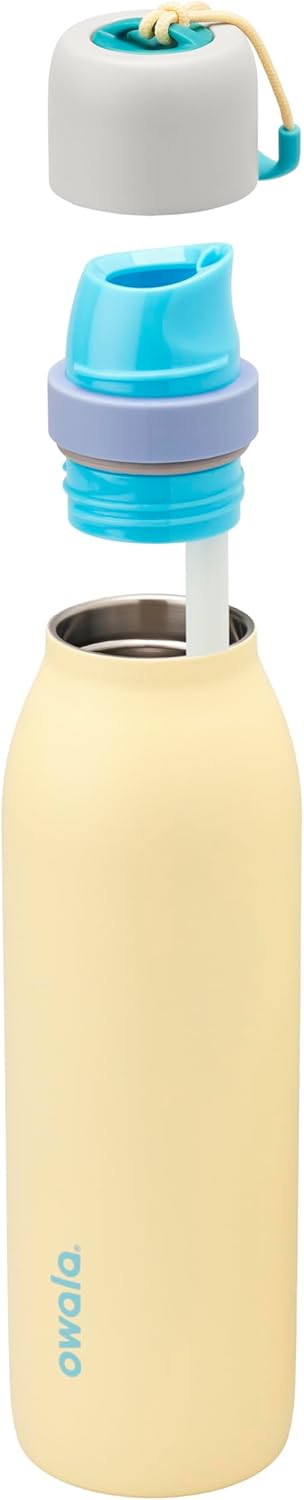 Owala FreeSip Twist Insulated Stainless Steel Water Bottle with Straw for Sports and Travel, BPA-Free, 18-oz, Grey/Yellow (Sunny Daze)