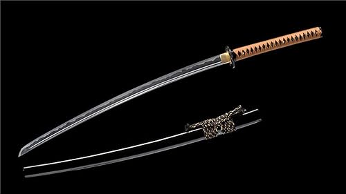 Iaito - Espada de práctica 1060 de acero al carbono, sin afilar, sin afilar, completa Tang-Ryan1317