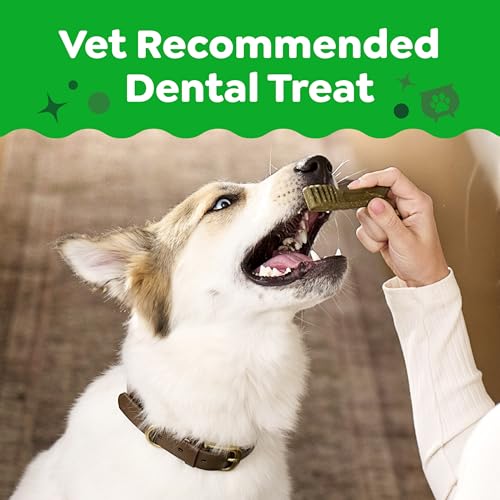 Image of Greenies Regular Natural Dental Dog Treats, Pumpkin Spice Flavor, 12 Count | Veterinarian-recommended, dogs 25-50 lbs, cleaner teeth after 28 days, limited edition, 12 oz. pack