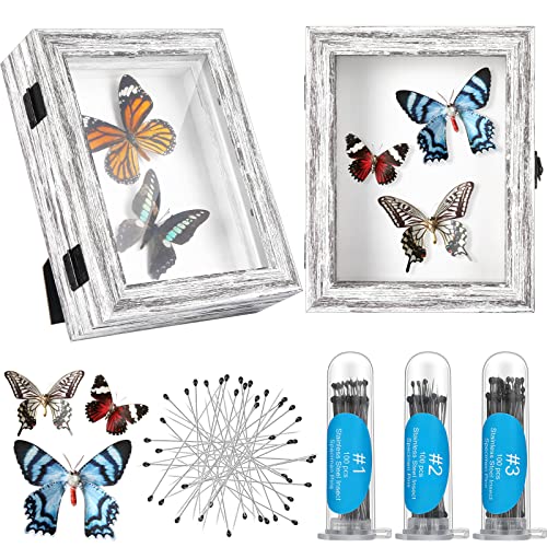 2 Pcs Insect Display Case Shadow Box Kit
