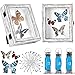 2 Pcs Insect Display Case Collection Shadow Boxes Butterfly Box with Clear Top EVA Foam Pinning Board and 300 Pcs 3 Sizes Insect Pins Insect Pinning Kit for Specimen, 7.87 x 6.3 x 2.05 Inch (Gray)