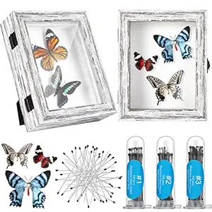 2 Pcs Insect Display Case Bug Display Case Shadow Boxes Pin Display Case Butterfly Box with Clear Top Eva Foam Pinning Board and 300 Pcs 3 Sizes Insect Pins Insect Pinning Kit for Specimen (Gray)