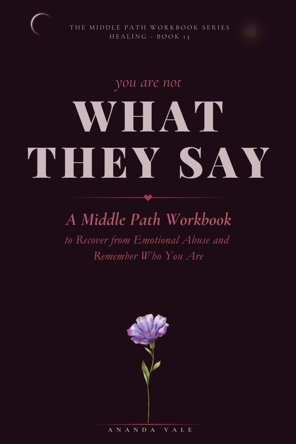 You Are Not What They Said: A Middle Path Workbook to Recover from Emotional Abuse and Remember Who You Are