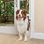 PetSafe Sliding Glass Pet Door - No-Cut DIY Install Doggy Door for Renters - Aluminum Frame - Adjustable Height 75 7/8" to 81" - Ideal for Large Dogs Up to 100 lb - White