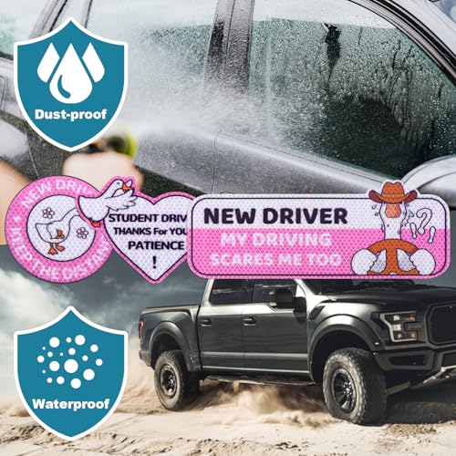 3 Magnetische Aufkleber für Fahrschüler, Selbstklebend Reflektierende Aufkleber für Fahranfänger Logo für Fahranfänger für Fahranfänger (Gans)