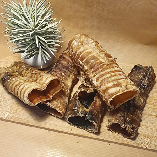 MinMont Pets- Beef Trachea - Air Pipe - 12cm - 100% Beef - Natural Chew for Dogs - Raw Feeding - No Rawhide - 200g (approx 5 Pieces) - Image 3