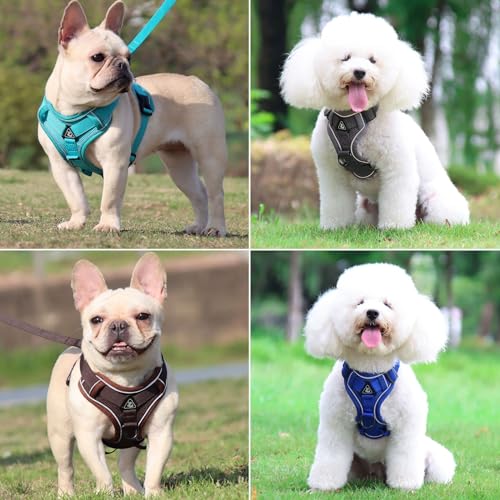 Air-Mesh Atmungsaktiv Brustgeschirr, Hundegeschirr mit Leine, Weich Einstellbar Reflektierend Anti Zug Hundegeschirr, Verstellbare Welpengeschirr für mittelgroße Kleine Grosse Hunde (XL)