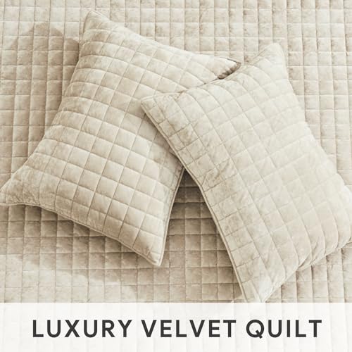 RECYCO Luxury Velvet Quilt Set King Size Bedding Sets, Ultra Soft Velvet Comforter Set, Lightweight Channel Box Stitch Oversized Bedspread Coverlet for All Season, with 2 Shams, Beige - Image 5