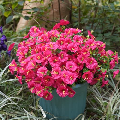 Image of Artificial Flowers for Outdoors, UV Resistant Fake Silk Morning Glory, Realistic Faux Plants for Outside Porch Patio Window Box Hanging Planter (12, Hot Pink)