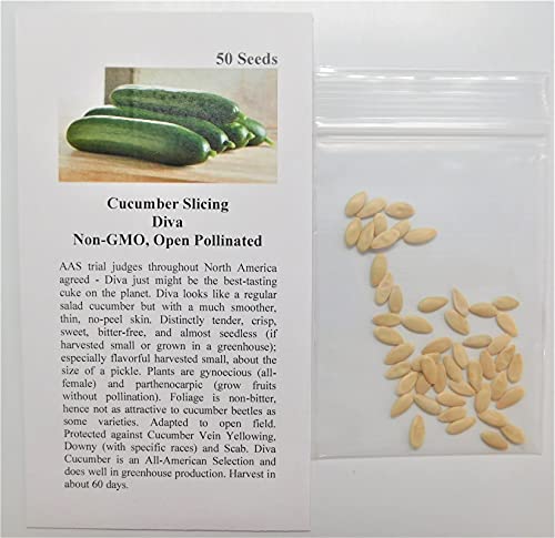 David's Garden Seeds Cucumber Slicing Diva Fba-2196 (Green) 25 Non-Gmo, Open Pollinated Seeds #TOP1