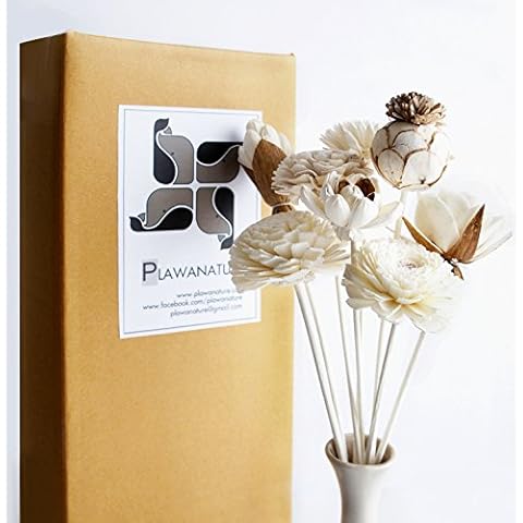 Exotic Plawanature Set of 8 Mixed Sola Wood Flower with Reed Diffuser for Home Fragrance Aroma Oil Cover