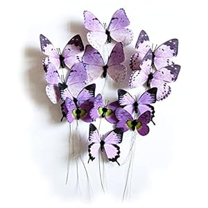 Naudassods Schmetterlings-Dekorationen