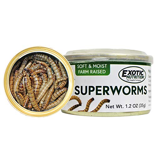 Canned Superworms (1.2 oz.) - Healthy High Protein Insect Treat - Hedgehogs, Sugar Gliders, Reptiles, Wild Birds, Chickens, Lizards, Bearded Dragons, Skunks, Opossums, Fish, Amphibians, Turtles