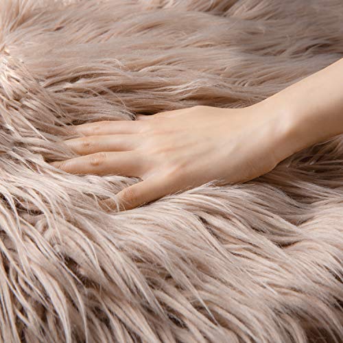 Ashler Faux Fur Rug, Fluffy Shaggy Area Rug Ultra Soft 2 X 6 Feet Sheepskin Fur Rug, Beige Fuzzy Rug Machine Washable Shag Rug, Nursery Decor Throw Rugs For Bedroom, Kids Room, Living Room #TOP5