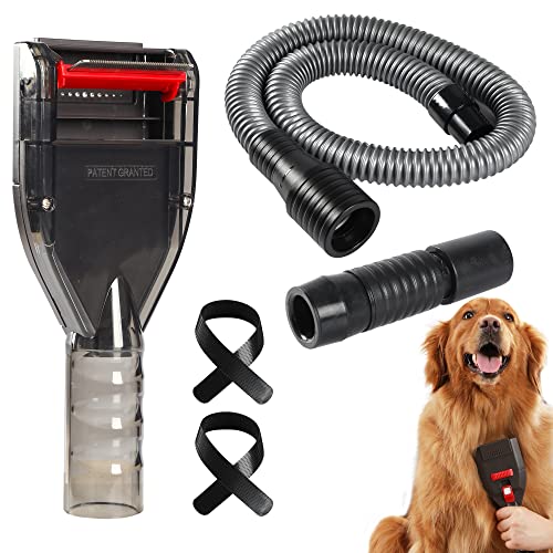 Find The Best Vacuums For Dog Hair Reviews & Comparison Katynel
