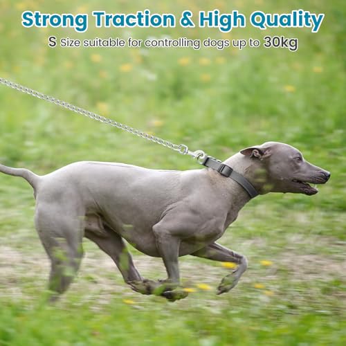 PETTOM Hundeleine Kette, Hundekette Leine, Bissfeste Hundeleine 120cm Metall, Kettenleine mit Gepolstertem Griff für Große und Kleine Hunde