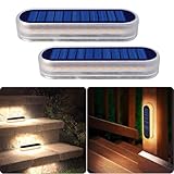 DetarZinLED ソーラーライト 屋外 ガーデンライト IP68防水 30LED 暖色 ソーラー 屋外 階段ライト 庭 ライト 太陽光パネル充電 自動点灯/消灯 玄関先 庭 通路 車道 芝生 駐車場に最適 （2個セット）
