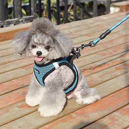Matilor Dog Harness Step-In Breathable Puppy Cat Dog Vest Harnesses For Small Medium Dogs #TOP5
