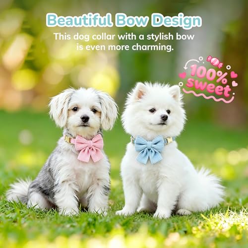 Collar para perro terciopelo azul talla S ajustable miniatura 7