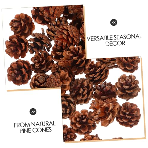Mini Pommes de Pin Naturelles Mobestech Créations DIY Cadeau Noël - 4
