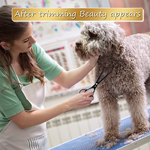 Image of Dog Grooming Scissors Kit with Safety Round Tips, GLADOG Professional 5 in 1 Grooming Scissors for Dog