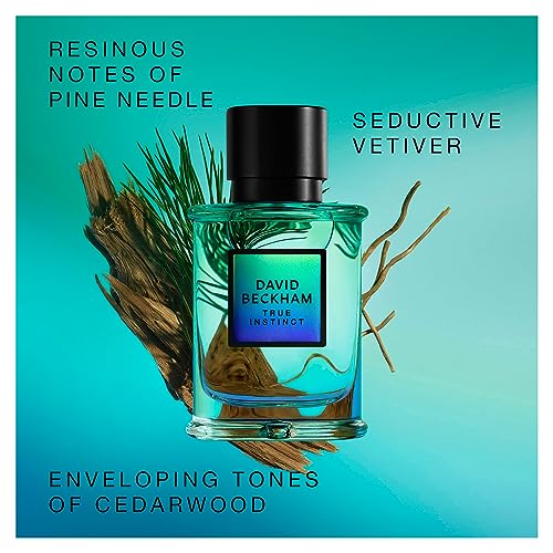 David Beckham Perfume True Instinct Eau de Parfum Masculino 75ml