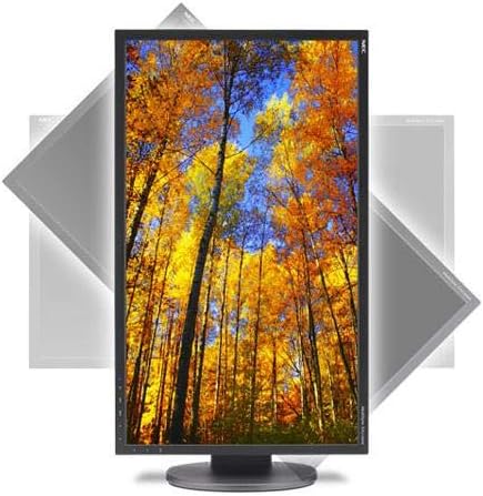 NEC EA224WMI-BK 21.5-Inch Screen LED-Lit Monitor