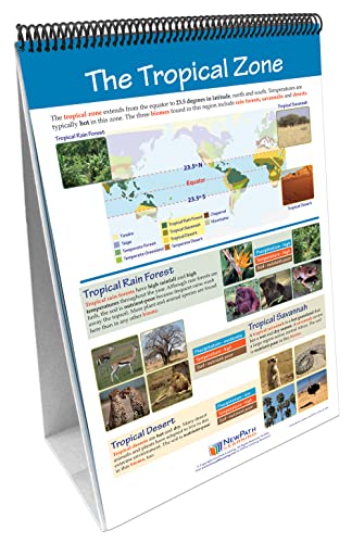 Image of NewPath Learning Earth's Climate Laminated, Double-Sided inchWrite-On /Wipe-Off inch Flip Chart - Set of 10, 12 inch x 18 inch Charts (34-6828)