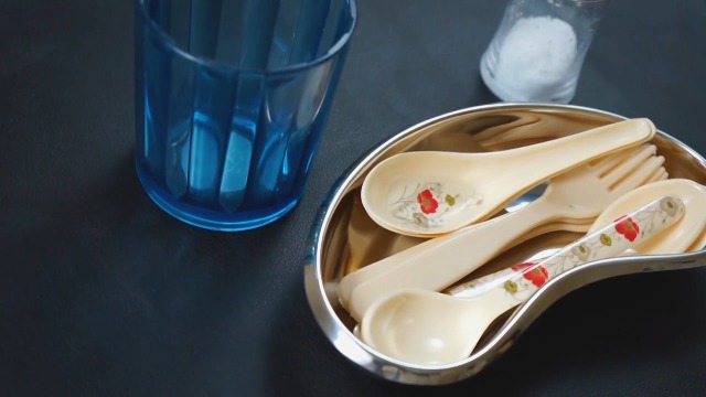 MJW Lot De 2 Assiettes Rénales Inox 21,2cm - Bol Réutilisable, Bords Arrondis - Pour Labo, Maison