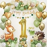 Satisfacción 100% garantizada: confiamos en la calidad y el estilo elegante de estos globos clásicos para cumpleaños hechos de material de calidad de grado A. Si no está satisfecho, le reembolsamos el importe total. Nos preocupamos por su experiencia, por lo que nos aseguramos de que le encantará decorar con estas decoraciones verdes.