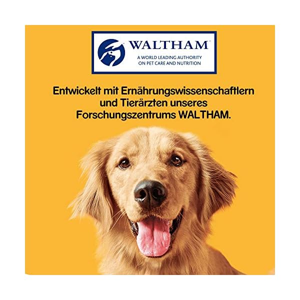 Pedigree Riesenknochen Maxi – Hundeleckerli mit Rind – Ideal als Belohnung für große Hunde – 12 x 210g im Multipack mit je 1 Knochen – Bild 7