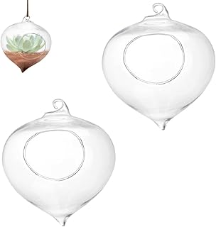 ﻿Glass Hanging Planter, 2Pcs Plant Terrarium Hanging Propagation Station Container Air Fern Holder Clear Glass Vase Orb for Home
