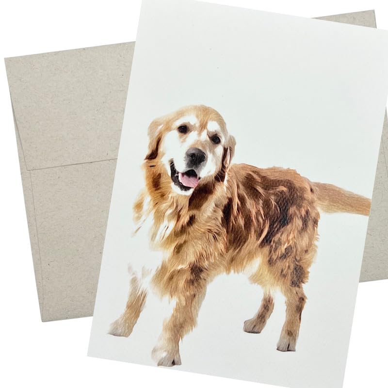 Golden Retriever Greeting Card With Envelope
