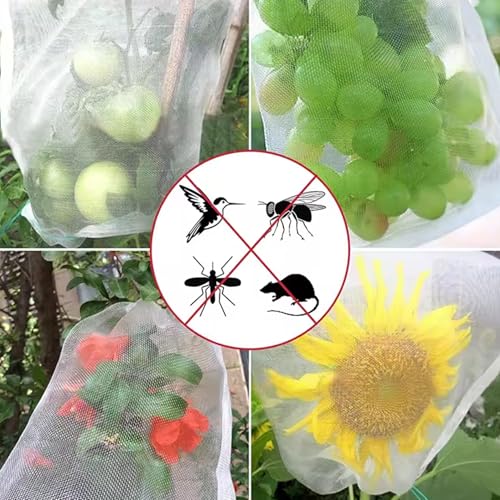 Bolsas protectoras para frutas que evitan plagas en los árboles 5