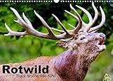 PERFEKTES GESCHENK - Unsere Kalender sind als Geschenk für den Freund, die Freundin, den Mann, die Frau, Ehemann und Ehefrau, für den Jahrestag, Geburtstag, den Hochzeitstag, zur Verlobung, zum Einzug, für Kinder und Erwachsene, für frisch Verliebte oder ein altes Ehepaar, für Oma und Opa, für Papa und Mama, für jung und alt geeignet.