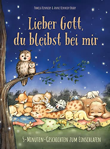 Lieber Gott, du bleibst bei mir: 5-Minuten-Geschichten zum Einschlafen (German Edition)