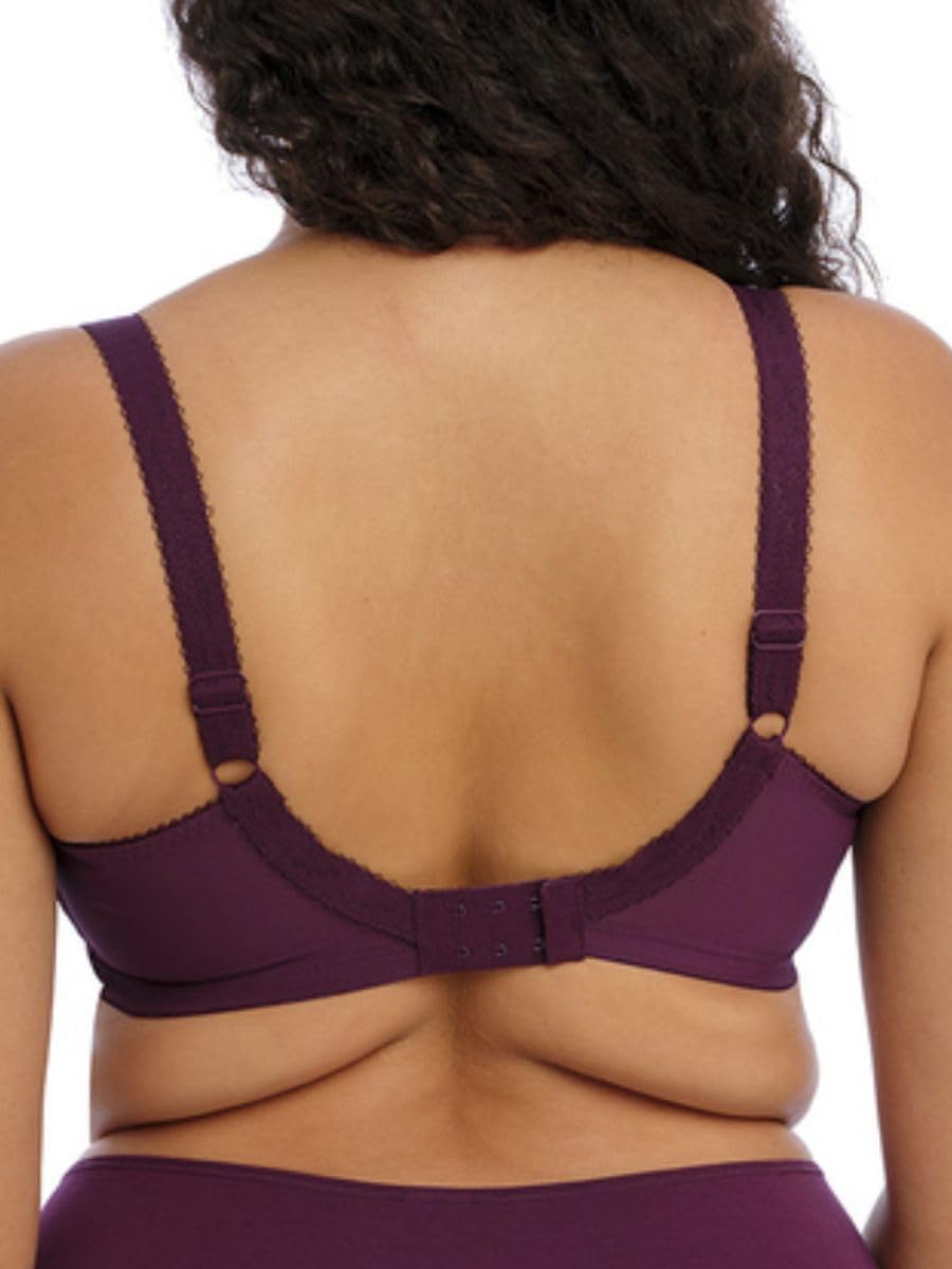 Elomi Womens Morgan Stretch Lace Banded Underwire Bra - Image 3