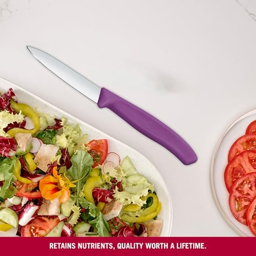 Image of Victorinox Swiss Made Stainless Steel Swiss Classic Paring Knife, Straight Edge, Kitchen Tool, Kitchen Item, 8 cm, Purple, 6.7605.C1