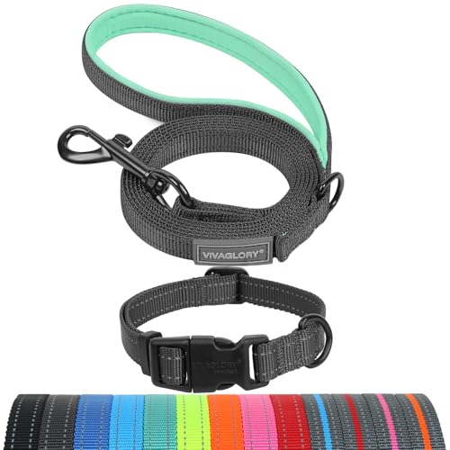 VIVAGLORY Dog Leash Puppy Leash for Collar, 5ft x 1/2in, S, Grey