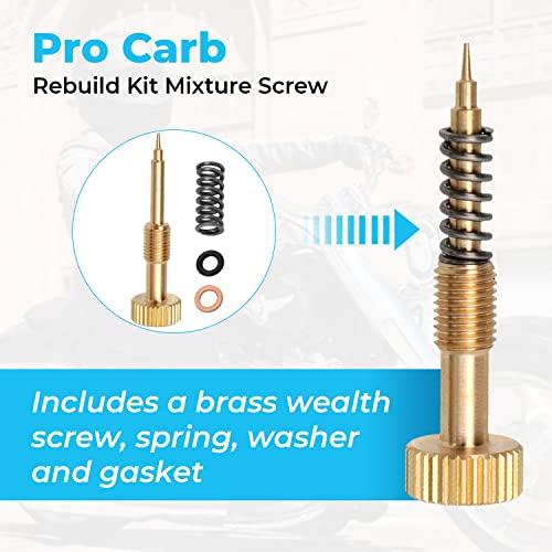 Alpha Rider Pro Carb Rebuild Kit Mixture Screw For Keihin Cv Cvk Carbs For Harley Big Twin 1990-1999, Twin Cam 1999-2006 & Sportster Xl 883 1200 1988-2006 #TOP6
