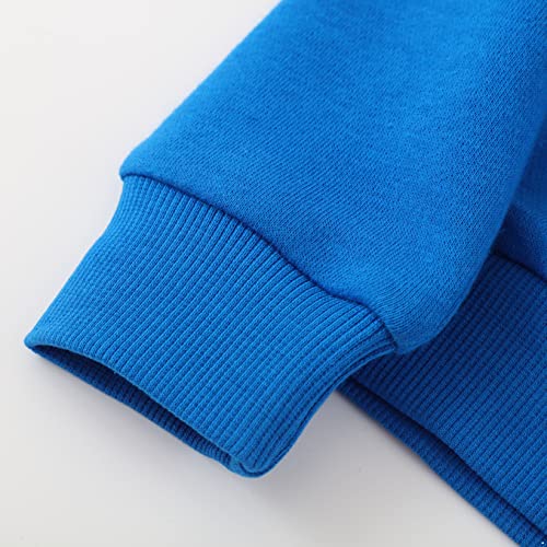 TTAO Kids Boys Girls Sweatshirt Toddler Crewneck Pullover Dinosaur Print Long Sleeve Sweater Casual Outfit4