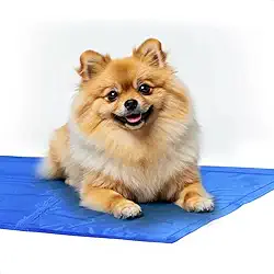 Tapete Gelado Refrescante Para Cães e Gatos Gel Refrescante Ativado por Peso Conforto Térmico Para Dias Quentes (Porte Mini 30x40)