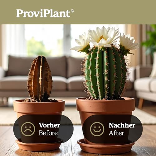 ProviPlant Kakteen Flüssigdünger – Für Kakteen, Sukkulenten & Trockenpflanzen – 1 Liter Konzentrat für bis zu 200 Liter Gießwasser – Indoor & Outdoor geeignet – Made in Germany