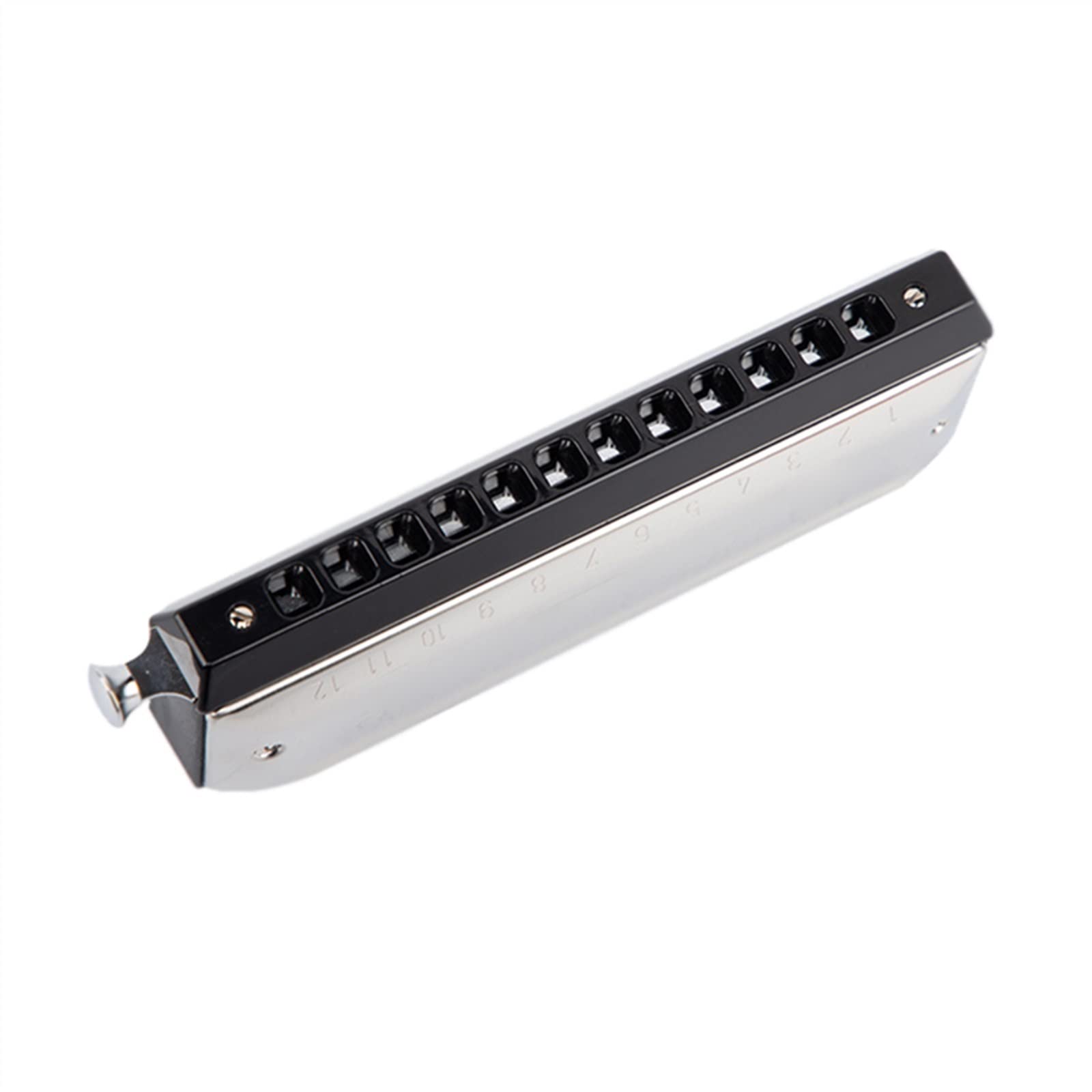 Armonica Cromatica Professionale 12 Fori Chiave di C Bocca Organo ABS Pettine Copertura in Acciaio Inox Armonica per Principianti