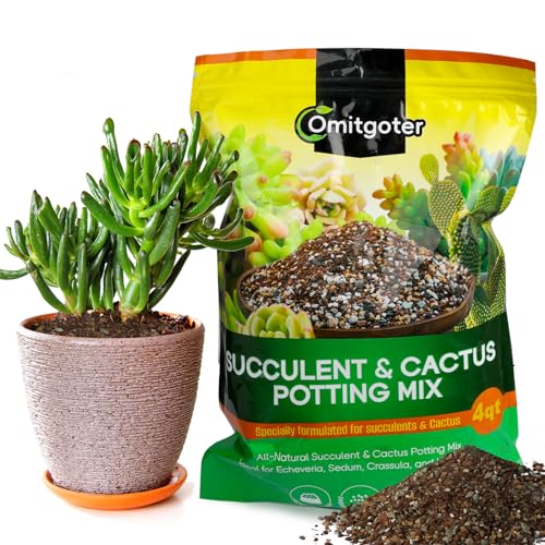Omitgoter Succulent & Cactus Soil Potting Mix 1qt, Pre-Mixed Ready to Use with Fast Draining Fits for Bonsai, Terrarium and Houseplant